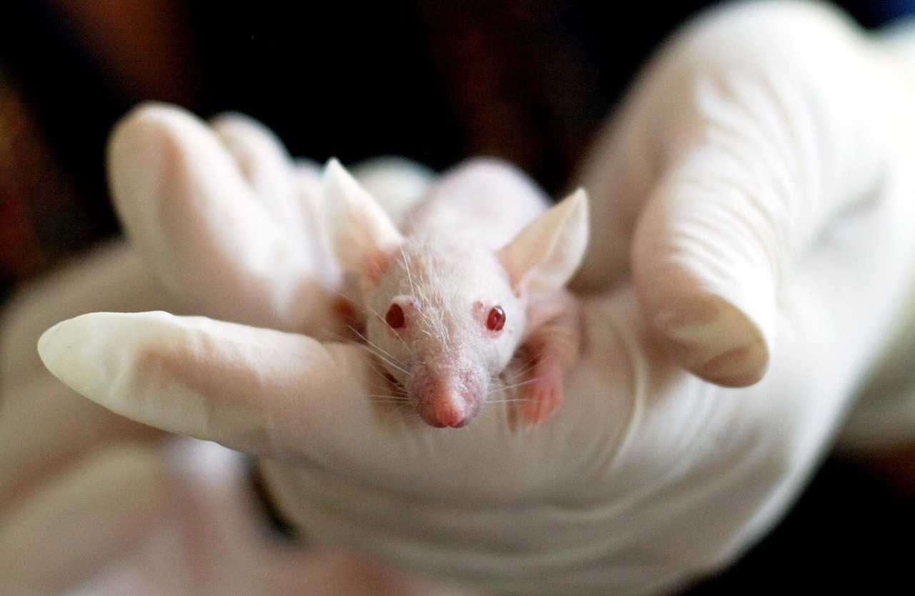 The Next Therapeutic Frontier May Be Signal-Based Biology
