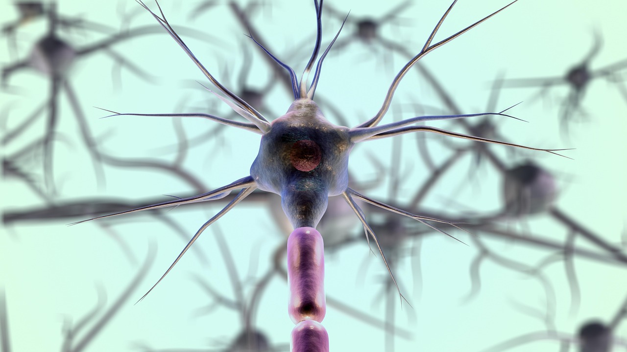 The Electrical Language of Biology