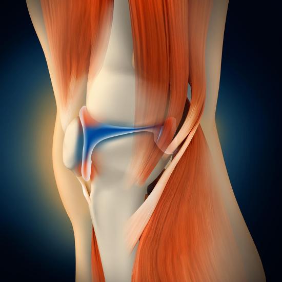 Understanding Inflammation and Pain Signaling